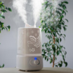Is a Humidifier or Dehumidifier Better for Allergies, Colds & Nasal Congestion?