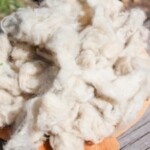 From Baaa to Bedding: How to Process Wool (Part 1)