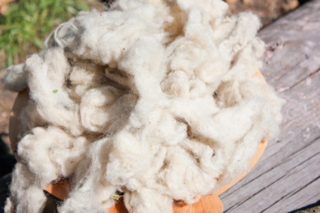 Wool processing