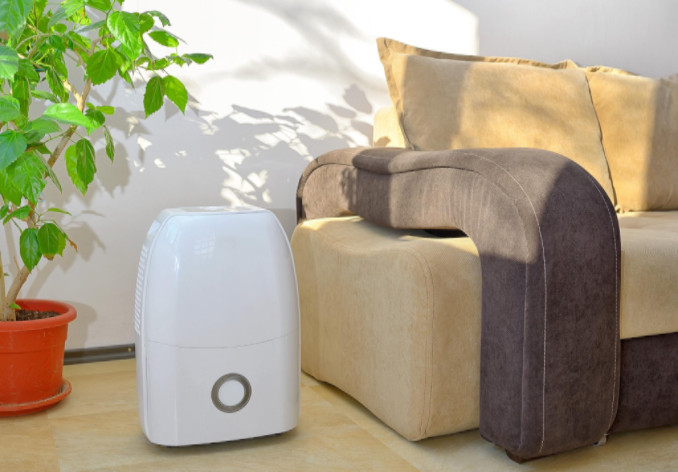 dehumidifier helps allergy symptoms