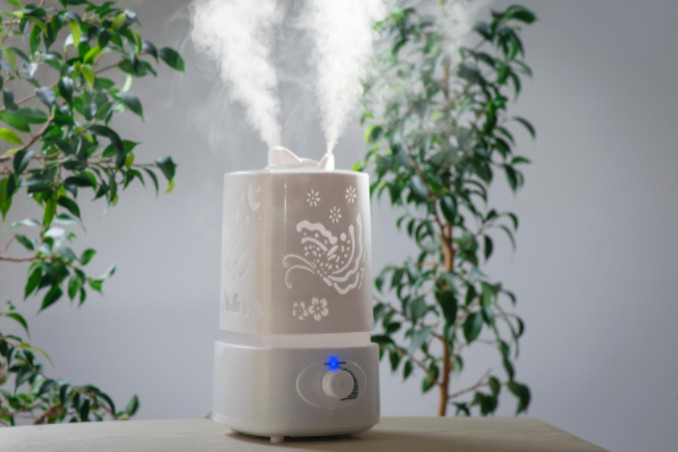 can a dehumidifier help with allergies