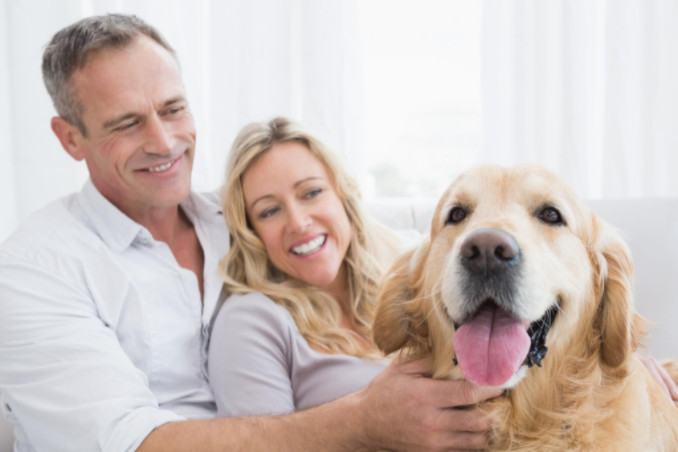 Couple smiling with pet dog: SBDPro Business Articles Blog