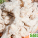wool sustainable resource