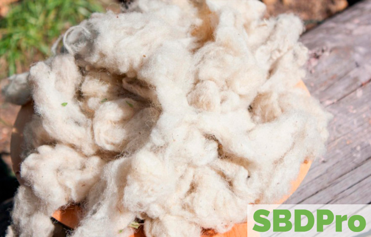 wool sustainable resource